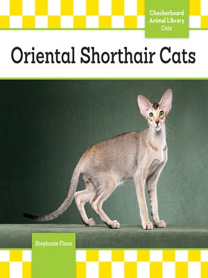 cover image of Oriental Shorthair Cats